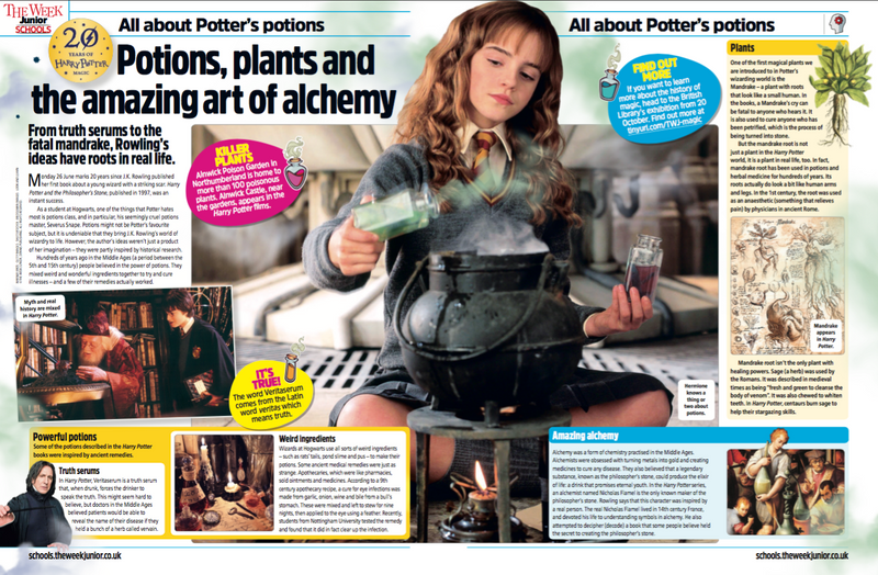 Potter's potions image