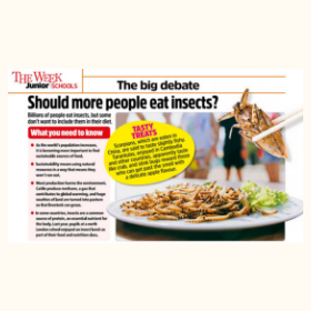 Should more people eat insects