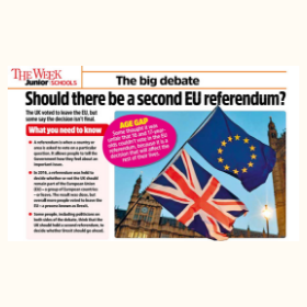 Should there be a second EU referendum